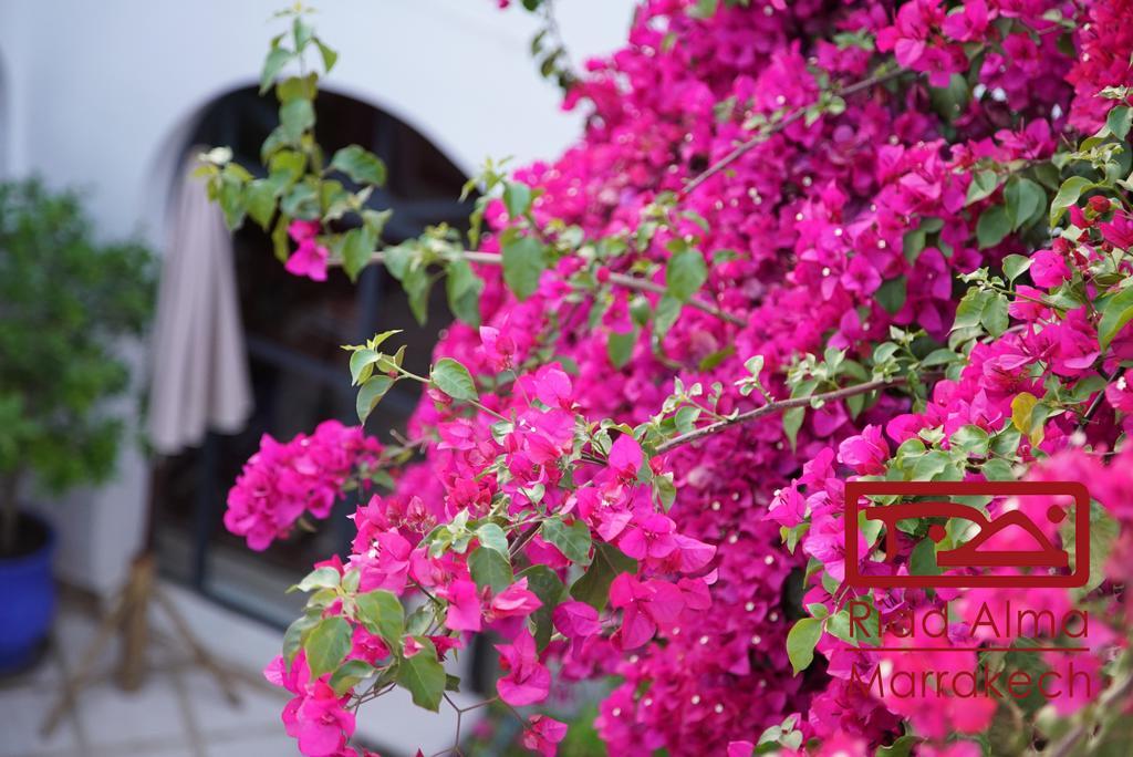 Riad Alma Marraquexe Exterior foto